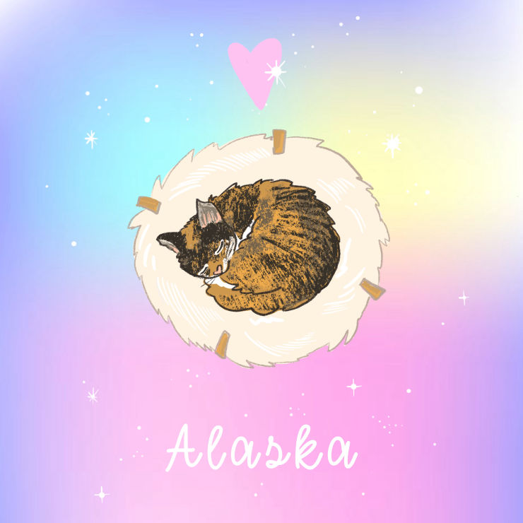 Mueble para gato Alaska