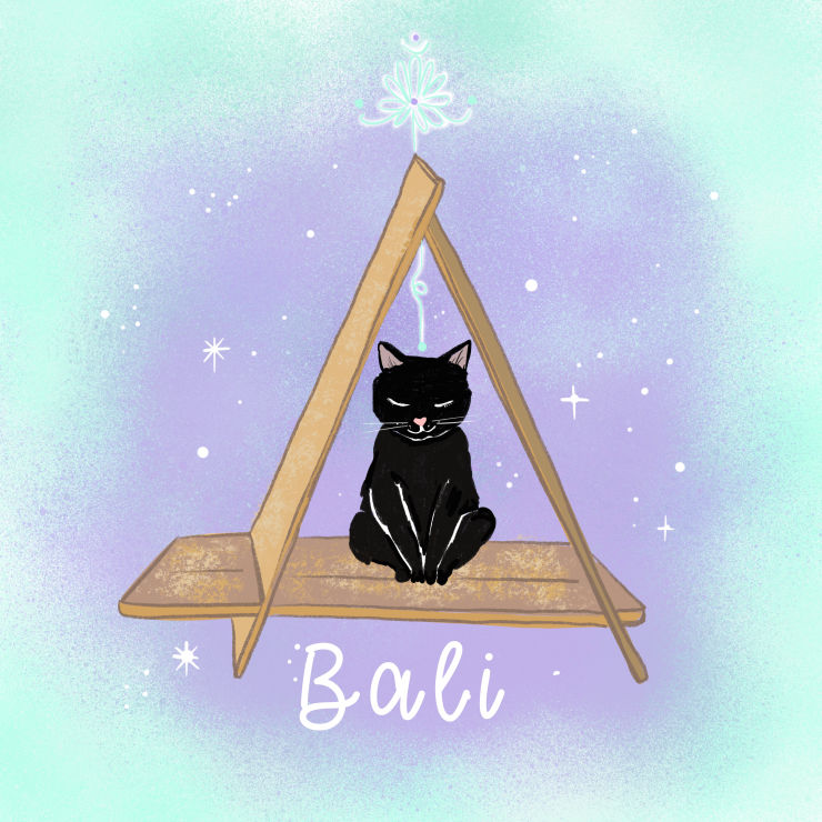 Mueble para gato Bali